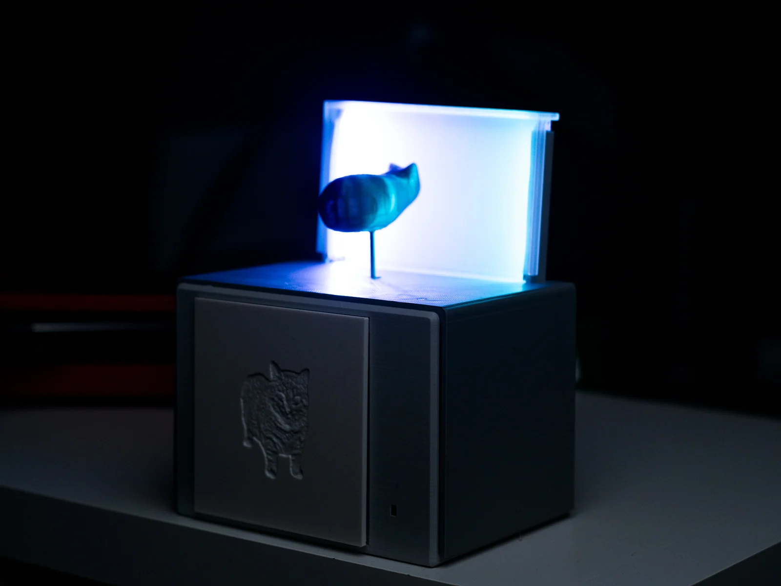 The cat on a central spindle inside a lit display box