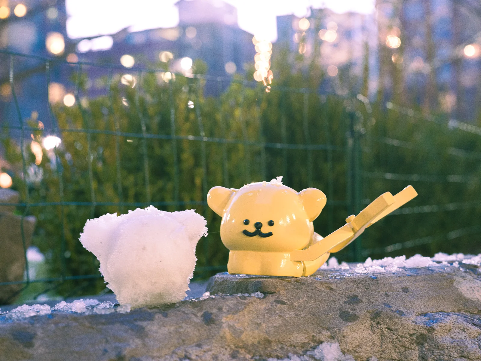 Maltese Snowball Maker — Another moment in the snow