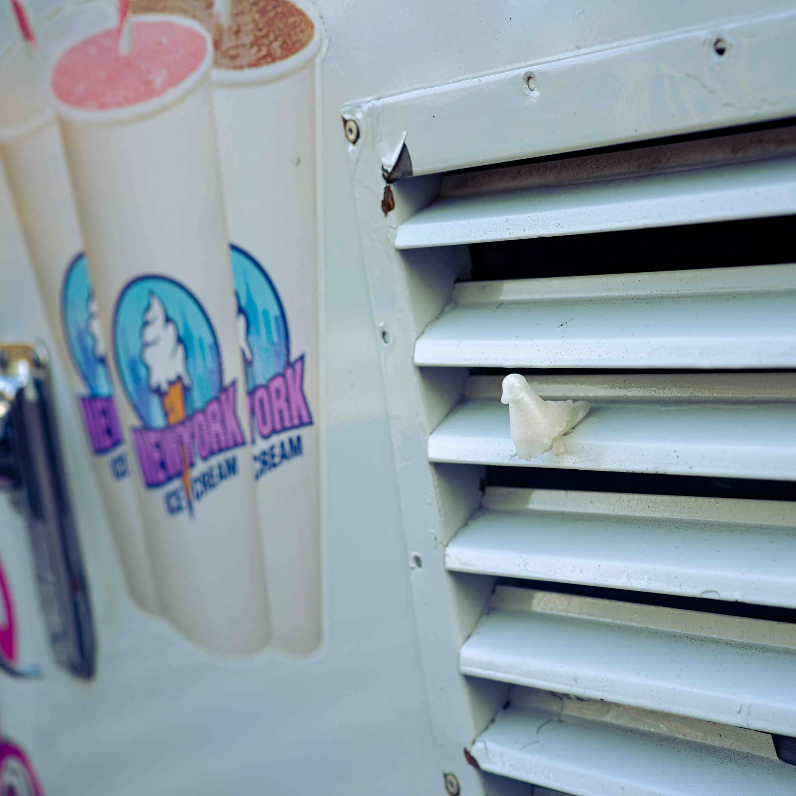 Pigeons in NYC — Pigeons on an ice cream truck