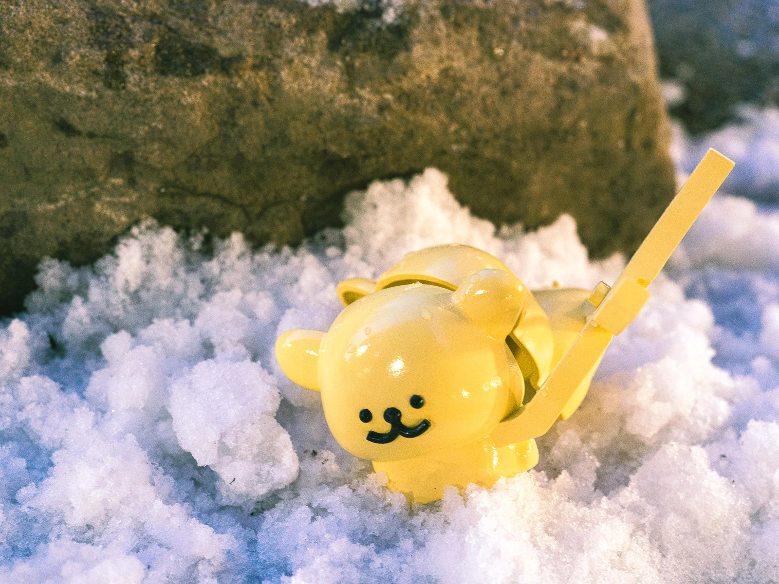 Maltese Snowball Maker — The snowball maker in use