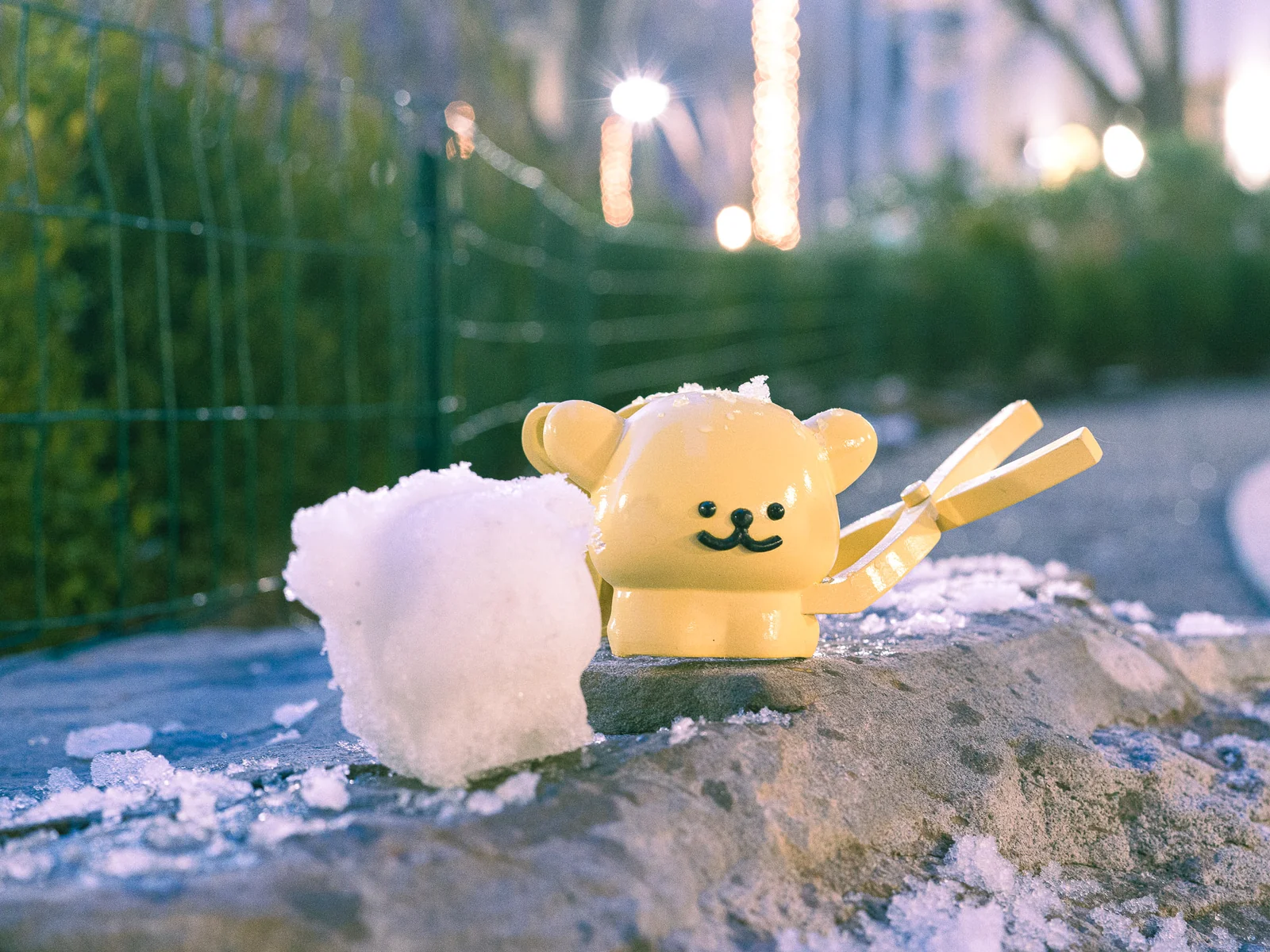 Maltese Snowball Maker — Making snowballs