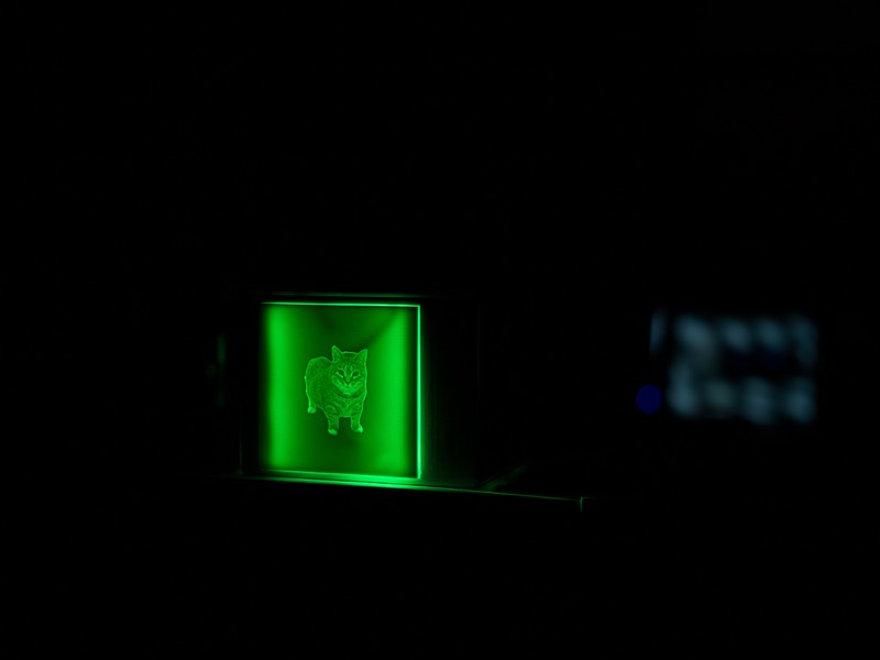 Oiiai Cat