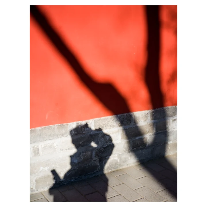 Branch shadows across a red wall and stone figure