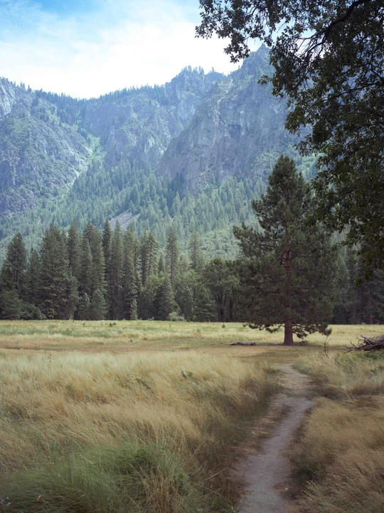 A meadow beneath forested mountains
