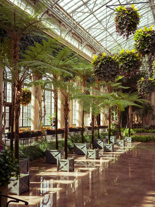 Plants lining a sunlit covered walkway